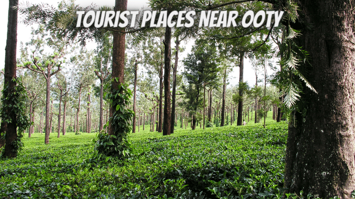 Ooty Near Tourist Places
