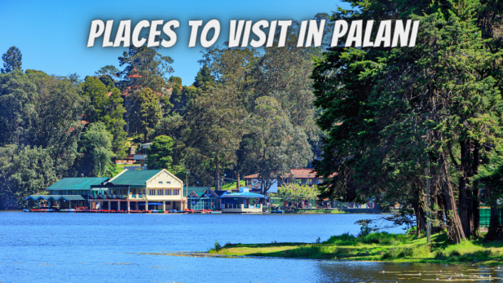 Places to Visit in Palani