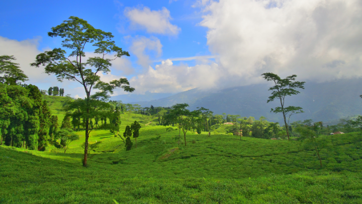 Offbeat Places in Darjeeling