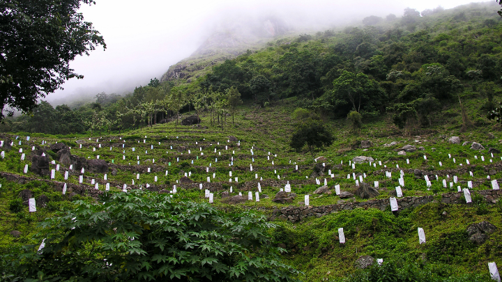 Haunted Places in Ooty