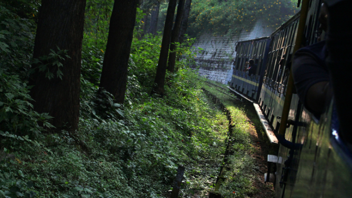 Best Time To Visit Ooty