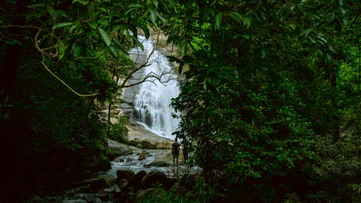 Kozhikode Tourist Places Hill Station