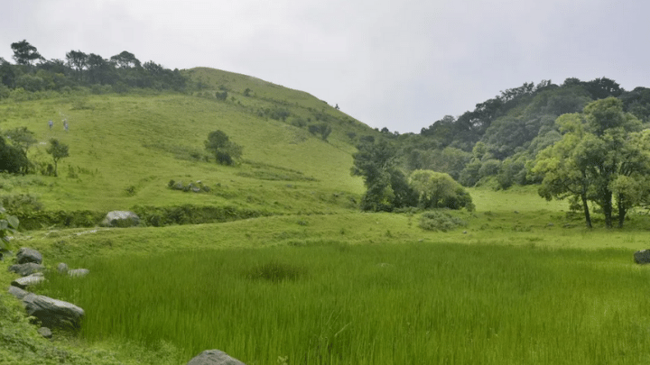 Trekking Places in Coorg