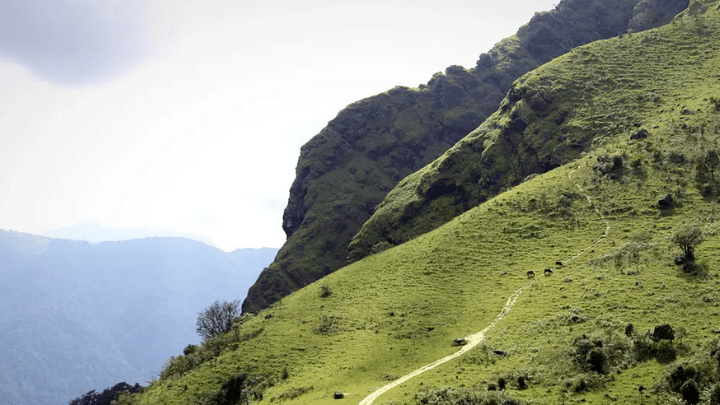 Trekking Places in Coorg